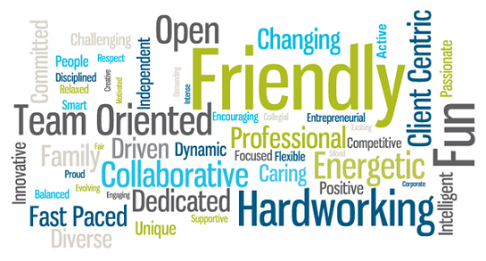 culture at janus words to describe culture at work